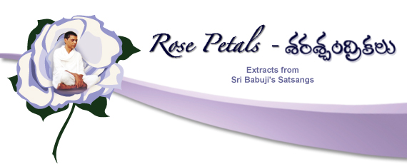 Rose Petals